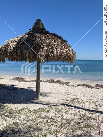 Thatch Roof Palapa Umbrella on Sandy Beach with Turquoise Ocean Thatch Roof Palapa Umbrella on Sandy Beach with Turquoise Ocean 141196609