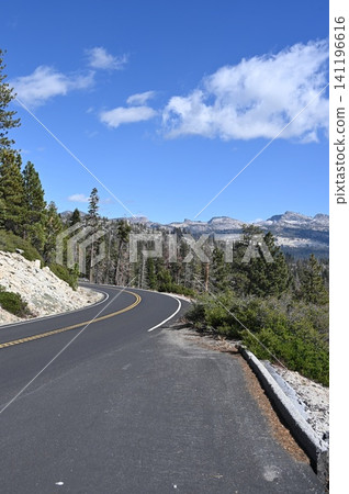 Winding mountain pass highway slicing through a rugged pine forest. Winding mountain pass highway slicing through a rugged pine forest. 141196616