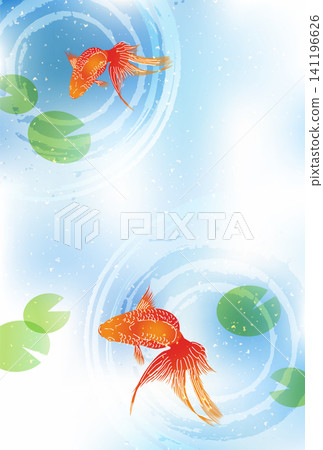 金魚在清涼的水面上游動(背景) 金魚在清涼的水面上游動(背景) 141196626