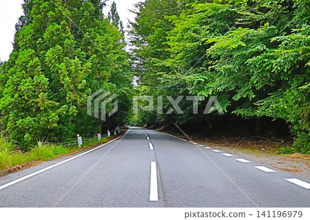 Koya-Ryujin Skyline, National Route 371, Wakayama Prefecture Koya-Ryujin Skyline, National Route 371, Wakayama Prefecture 141196979