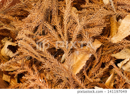Kindling made from dried leaves and coniferous twigs and leaves, with a texture that evokes the warmth of natural materials. Kindling made from dried leaves and coniferous twigs and leaves, with a texture that evokes the warmth of natural materials. 141197049