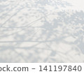 Tree shadow and leaf branch background 141197840