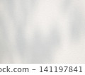 Abstract shadow of leaves on white concrete wall background 141197841