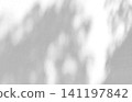 Abstract shadow of leaves on a white wall background 141197842