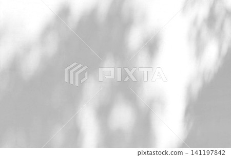 Abstract shadow of leaves on a white wall background Abstract shadow of leaves on a white wall background 141197842