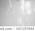 Leaf shadow and light on white concrete wall background 141197844