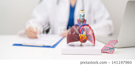 Doctor with Respiratory system anatomy for Diseases. Lung Cancer, Asthma, Chronic Obstructive Pulmonary or COPD, Bronchitis, Emphysema, Cystic Fibrosis, Bronchiectasis, Pneumonia and Pleural Effusion Doctor with Respiratory system anatomy for Diseases. Lung Cancer, Asthma, Chronic Obstructive Pulmonary or COPD, Bronchitis, Emphysema, Cystic Fibrosis, Bronchiectasis, Pneumonia and Pleural Effusion 141197960