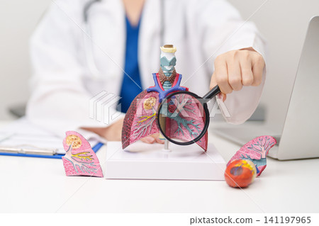 Doctor with Smoker and normal Lung anatomy for Disease. Lung Cancer, Asthma, Chronic Obstructive Pulmonary or COPD, Bronchitis, Emphysema, Cystic Fibrosis, Bronchiectasis, Pneumonia and world Lung day 141197965