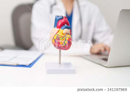 Doctor with human Heart anatomy model. Cardiovascular Diseases, Atherosclerosis, Hypertensive Heart, Valvular Heart, Aortopulmonary window, world Heart day and health concept Doctor with human Heart anatomy model. Cardiovascular Diseases, Atherosclerosis, Hypertensive Heart, Valvular Heart, Aortopulmonary window, world Heart day and health concept 141197969