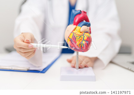 Doctor with human Heart anatomy model. Cardiovascular Diseases, Atherosclerosis, Hypertensive Heart, Valvular Heart, Aortopulmonary window, world Heart day and health concept Doctor with human Heart anatomy model. Cardiovascular Diseases, Atherosclerosis, Hypertensive Heart, Valvular Heart, Aortopulmonary window, world Heart day and health concept 141197971