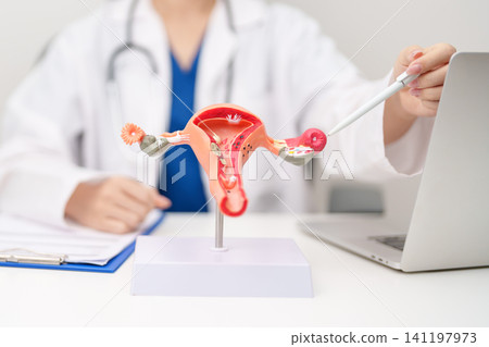 Doctor with Uterus and Ovaries anatomy model. Ovarian and Cervical cancer, Cervix disorder, Endometriosis, Hysterectomy, Uterine fibroids, Reproductive system, Pregnancy and health concept Doctor with Uterus and Ovaries anatomy model. Ovarian and Cervical cancer, Cervix disorder, Endometriosis, Hysterectomy, Uterine fibroids, Reproductive system, Pregnancy and health concept 141197973