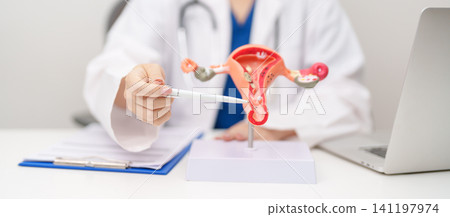 Doctor with Uterus and Ovaries anatomy model. Ovarian and Cervical cancer, Cervix disorder, Endometriosis, Hysterectomy, Uterine fibroids, Reproductive system, Pregnancy and health concept Doctor with Uterus and Ovaries anatomy model. Ovarian and Cervical cancer, Cervix disorder, Endometriosis, Hysterectomy, Uterine fibroids, Reproductive system, Pregnancy and health concept 141197974