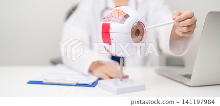 Doctor with human Eye anatomy model with magnifying glass. Eye disease, Refractive Errors, Age Related Macular Degeneration, Cataract, Diabetic Retinopathy, Glaucoma, Amblyopia, Strabismus and Health Doctor with human Eye anatomy model with magnifying glass. Eye disease, Refractive Errors, Age Related Macular Degeneration, Cataract, Diabetic Retinopathy, Glaucoma, Amblyopia, Strabismus and Health 141197984