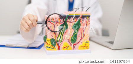 Dermatologist with anatomy model of human skin with hair. Doctor show structure of Skin, Skin disease and Hair loss. Health care, Dermatology treatment, Cosmetic surgery and Beauty consultation clinic Dermatologist with anatomy model of human skin with hair. Doctor show structure of Skin, Skin disease and Hair loss. Health care, Dermatology treatment, Cosmetic surgery and Beauty consultation clinic 141197994