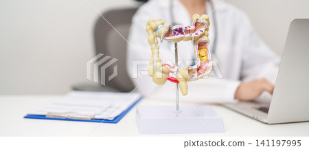 Doctor with human Colon anatomy model. Colonic disease, Large Intestine, Colorectal cancer, Ulcerative colitis, Diverticulitis, Irritable bowel syndrome, Digestive system and Healthcare concept 141197995