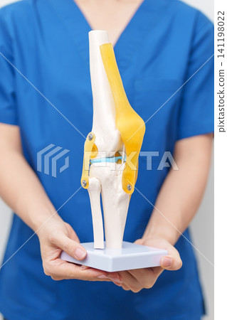 Doctor with Human Knee joint anatomy model. Osteoarthritis, Patellofemoral Pain Syndrome, Patellar Tendinitis, ACL, Anterior Cruciate Ligament, PCL, Posterior, MCL, Medial Collateral, LCL and Lateral Doctor with Human Knee joint anatomy model. Osteoarthritis, Patellofemoral Pain Syndrome, Patellar Tendinitis, ACL, Anterior Cruciate Ligament, PCL, Posterior, MCL, Medial Collateral, LCL and Lateral 141198022