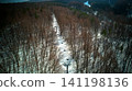 A lift going through the forest 141198136
