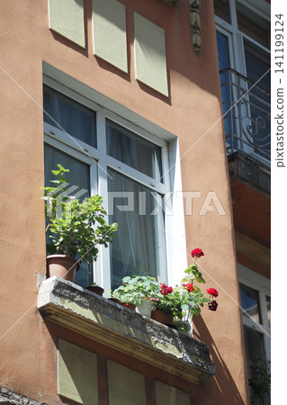 Colorful balcony garden enhances urban apartment charm Colorful balcony garden enhances urban apartment charm 141199124