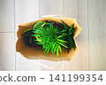 Shopping bag with indoor plants on wooden floor 141199354