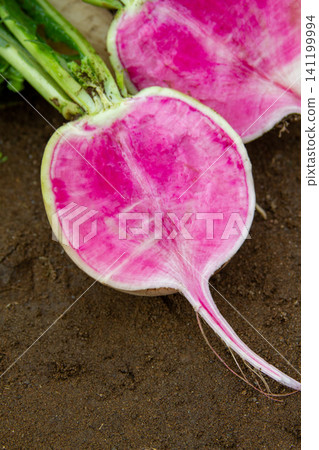 Red Core Daikon Red Core Daikon 141199994