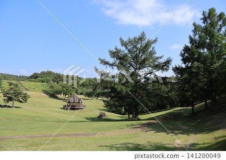 大神之長金公園:藍天下的大樹 大神之長金公園:藍天下的大樹 141200049
