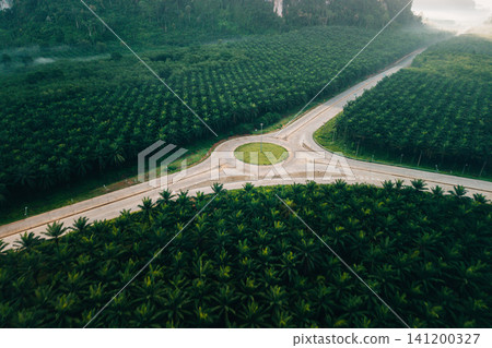 Aerial View of Circular Roundabout Intersection in Green Palm Forest 141200327