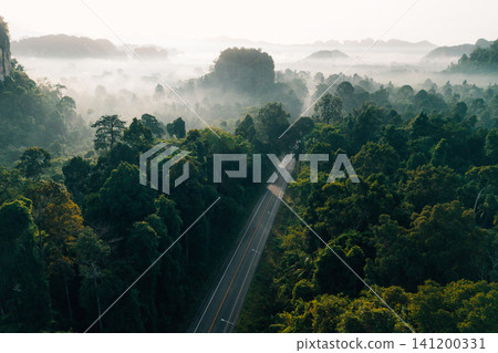 Drone View of Misty Forest Road and Limestone Peaks at Sunrise Drone View of Misty Forest Road and Limestone Peaks at Sunrise 141200331