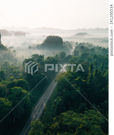 Drone View of Misty Forest Road and Limestone Peaks at Sunrise Drone View of Misty Forest Road and Limestone Peaks at Sunrise 141200334