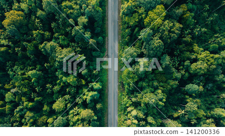 Top Down Aerial View of Empty Road Cutting Through Dense Tropical Forest Top Down Aerial View of Empty Road Cutting Through Dense Tropical Forest 141200336
