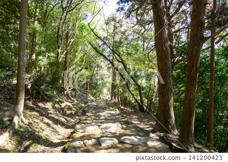 和歌山縣熊野古道參拜道上倉神社參拜道 和歌山縣熊野古道參拜道上倉神社參拜道 141200423
