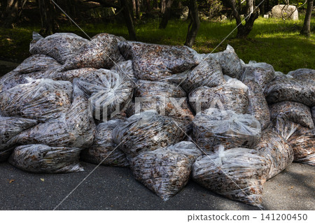 Bag-packed fallen leaves Bag-packed fallen leaves 141200450