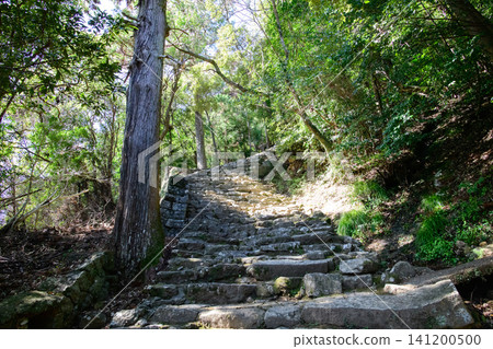 和歌山縣熊野古道參拜道上倉神社參拜道 和歌山縣熊野古道參拜道上倉神社參拜道 141200500