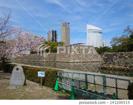 The castle tower base and cherry trees at Takamatsu Castle Ruins (Tamamo Castle Ruins/Tamamo Park) - Takamatsu City, Kagawa Prefecture (April) The castle tower base and cherry trees at Takamatsu Castle Ruins (Tamamo Castle Ruins/Tamamo Park) - Takamatsu City, Kagawa Prefecture (April) 141200515