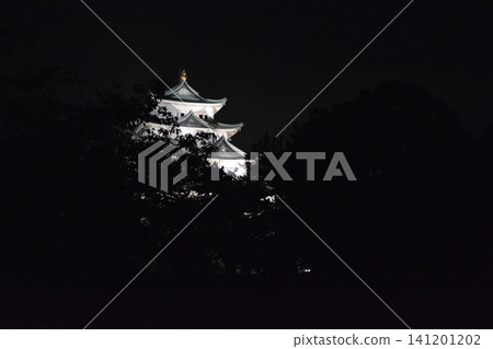名古屋城堡在晚上 141201202