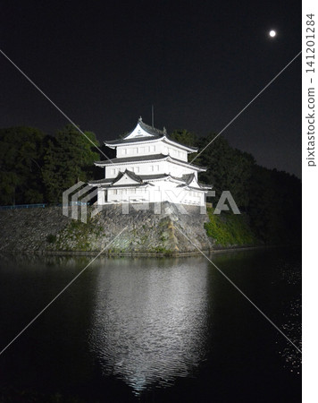 Nagoya Castle and the moon at night 141201284