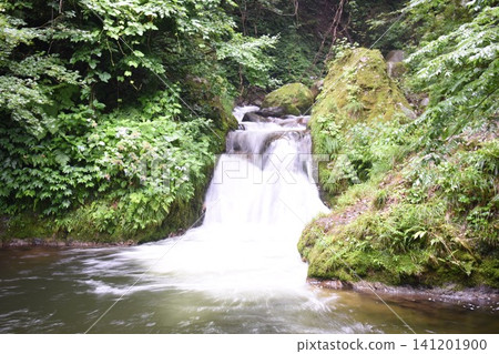 Fish stopper waterfall Fish stopper waterfall 141201900