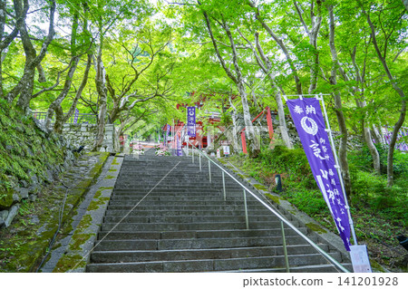 奈良縣櫻井市丹山神社入口處的階梯和橫幅,掩映在美麗的綠色植物中。 奈良縣櫻井市丹山神社入口處的階梯和橫幅,掩映在美麗的綠色植物中。 141201928