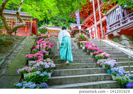 一位神道教祭司走上通往奈良縣櫻井市丹山神社入口的台階,周圍綠樹成蔭,盆栽繡球花環繞其間。 一位神道教祭司走上通往奈良縣櫻井市丹山神社入口的台階,周圍綠樹成蔭,盆栽繡球花環繞其間。 141201929