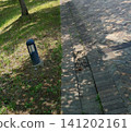 Sunlight filtering through the trees separates the cobblestone path from the lawn. 141202161