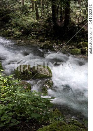 Slow-shutter photography of the headwaters of the Serikawa River and the Kawachi Valley. Slow-shutter photography of the headwaters of the Serikawa River and the Kawachi Valley. 141202238