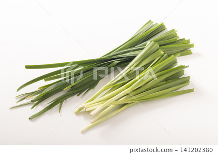 [Miyagi Prefecture] Gyōja Na (wild vegetable) 141202380