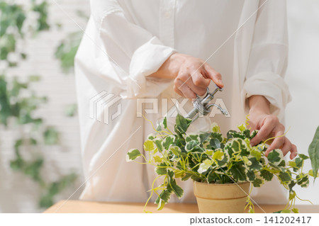Woman caring for foliage plants Woman caring for foliage plants 141202417