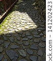 Sunlight streaming onto the cobblestone street 141202423