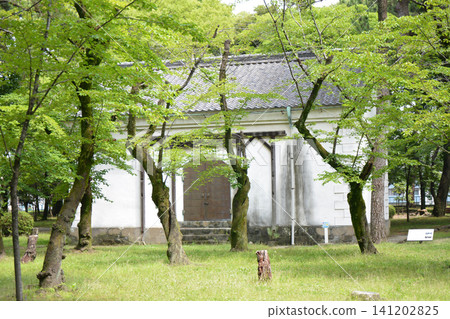 Scenery inside Nagoya Castle Scenery inside Nagoya Castle 141202825