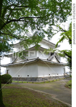 Scenery inside Nagoya Castle Scenery inside Nagoya Castle 141202828