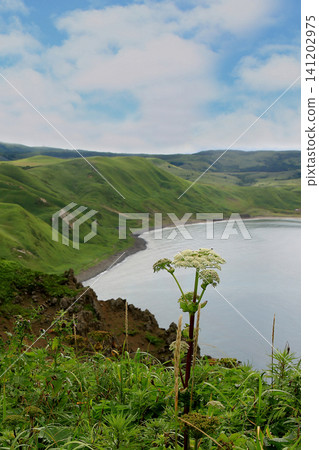 北海道禮文島:五羅田岬到鐵布健行 北海道禮文島:五羅田岬到鐵布健行 141202975