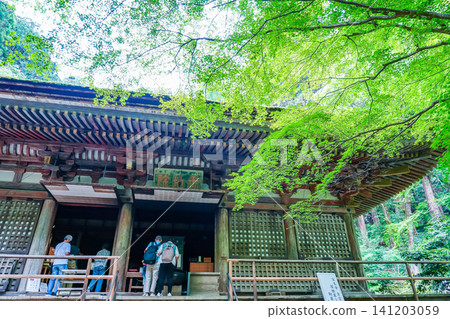 Worshippers praying at the main hall of Murō-ji Temple in Uda City, Nara Prefecture, surrounded by fresh greenery. Worshippers praying at the main hall of Murō-ji Temple in Uda City, Nara Prefecture, surrounded by fresh greenery. 141203059