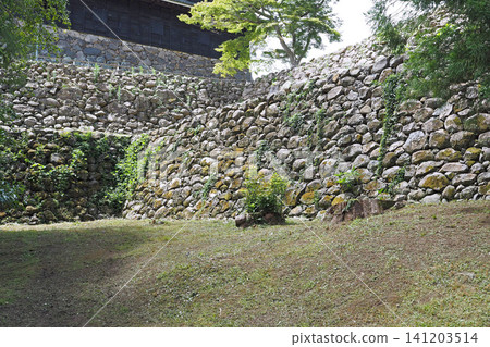 The stone walls of the main keep of Matsue Castle, as seen from the Mizunote Gate side (Matsue City, Shimane Prefecture) 141203514