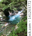 蔥鬱的綠植和潺潺的山澗：西澤峽谷的壯麗景色 141203772