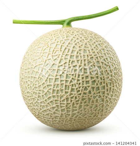 Realistic Melon Illustration on a White Background Realistic Melon Illustration on a White Background 141204341